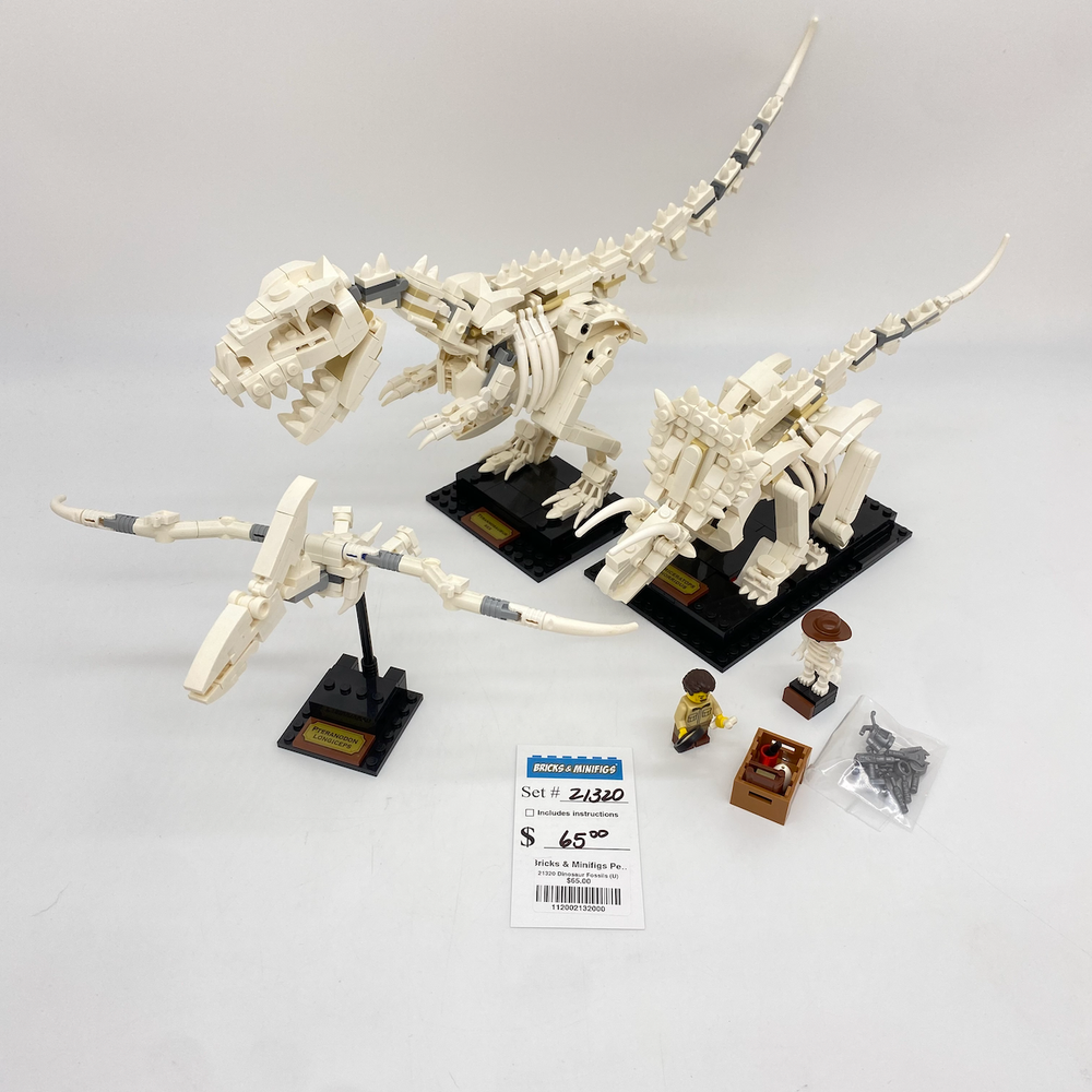 21320 Dinosaur Fossils (U)