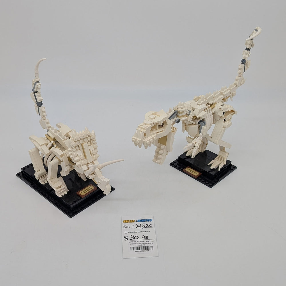 21320 Dinosaur Fossils (U1)
