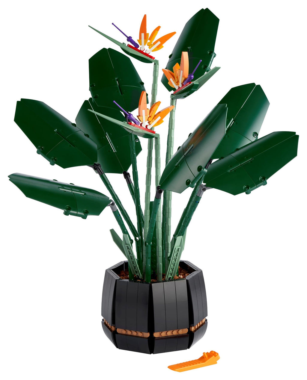 10289 Bird of Paradise product image 3, provided for visual reference and product detail review