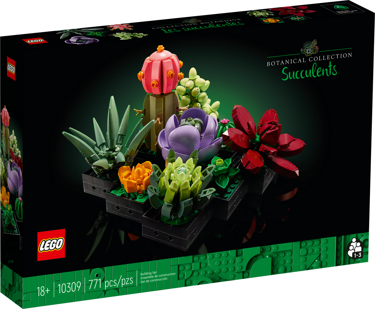10309 Succulents product image 1, provided for visual reference and product detail review