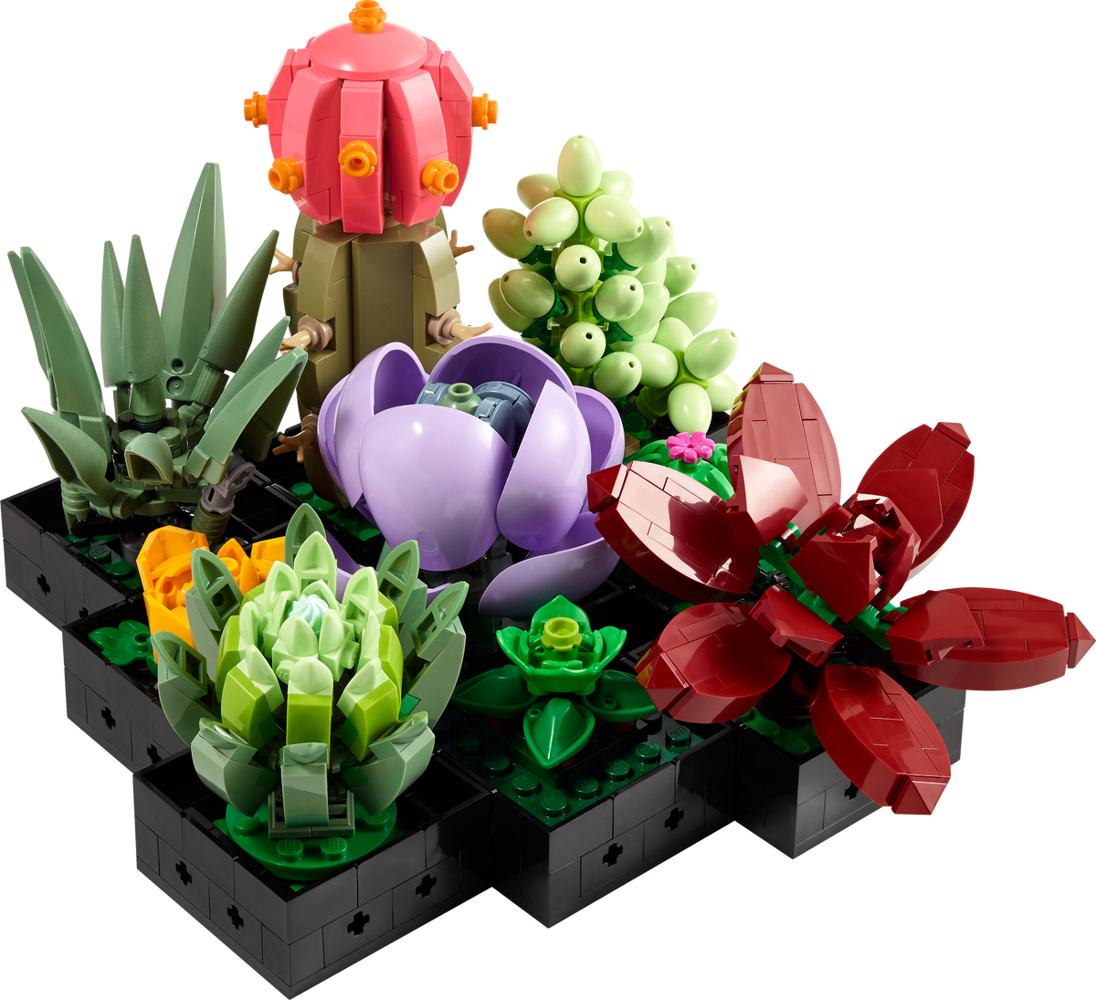10309 Succulents product image 3, provided for visual reference and product detail review