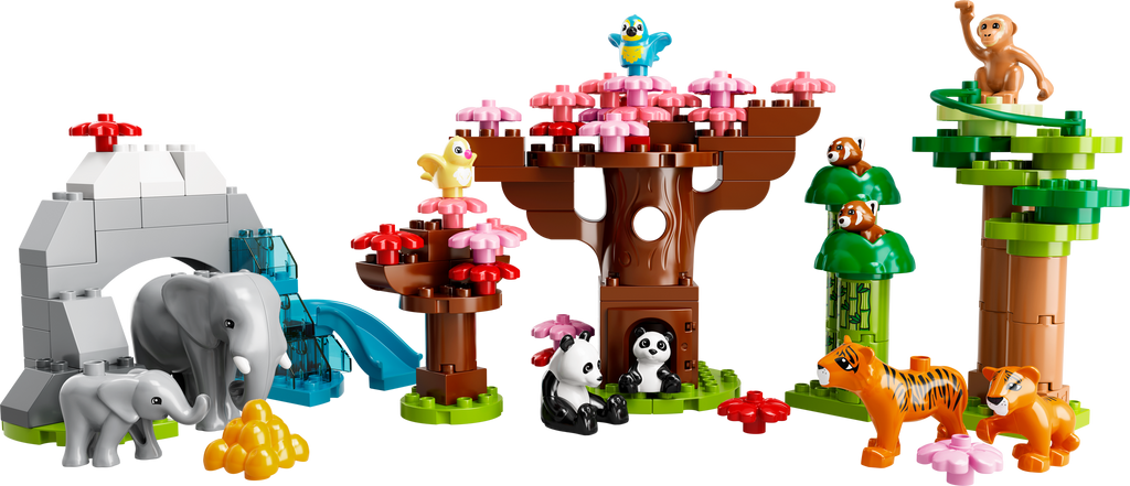 10974 Wild Animals of Asia product image 3, provided for visual reference and product detail review