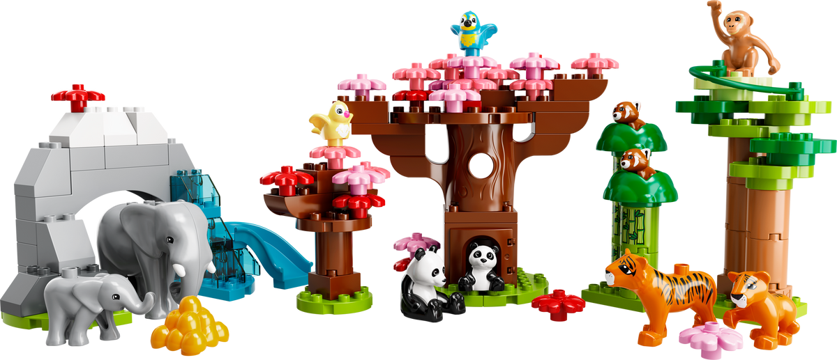 10974 Wild Animals of Asia product image 3, provided for visual reference and product detail review