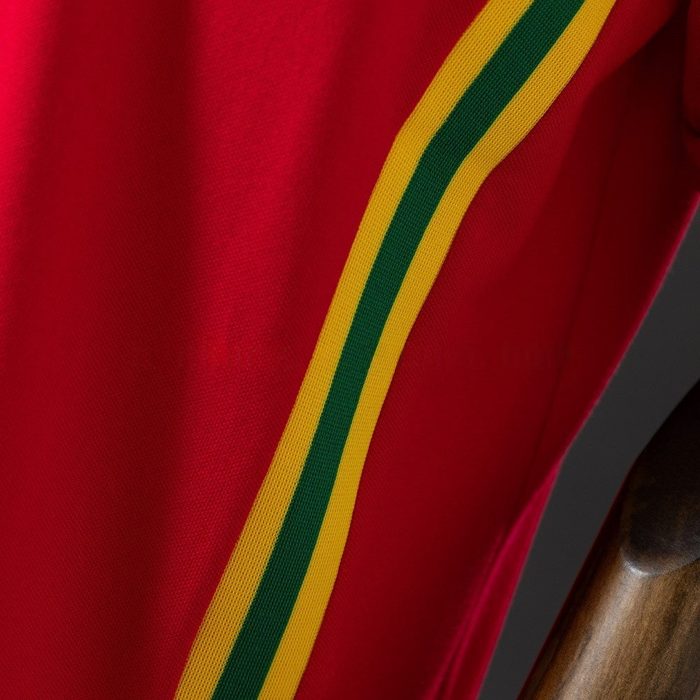 Wales Jersey 1976 Home Retro Football Kit product image 4