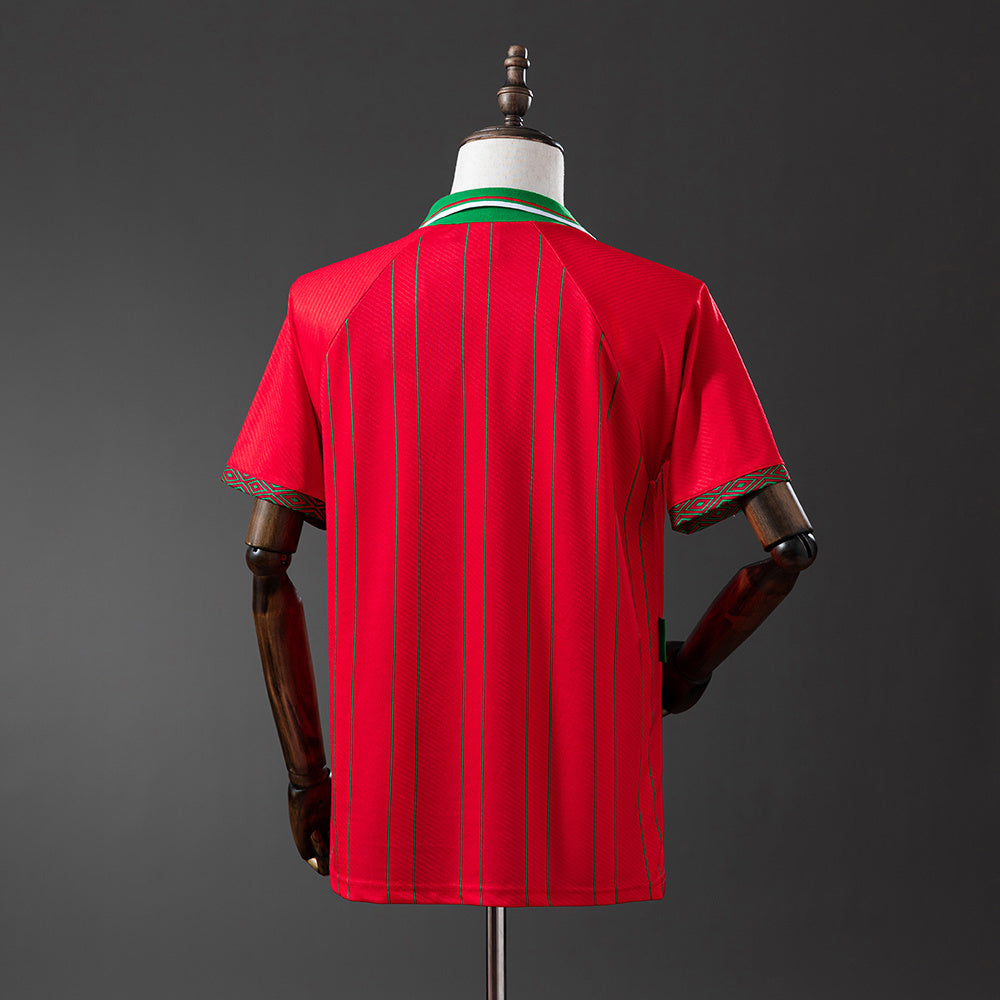 Wales Jersey 1994 Home Retro Football Kit product image 2