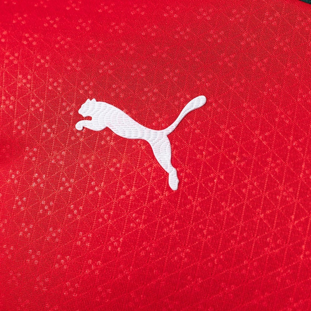 Portugal Jersey 2025/26 Home Football Kit Long Sleeves product image 4