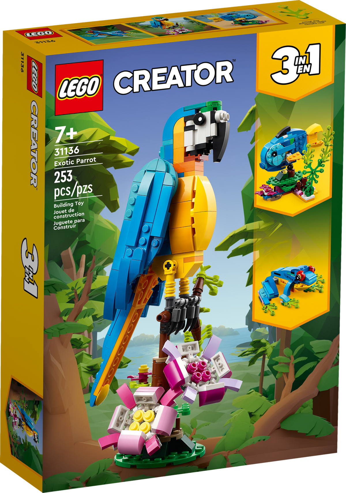 31136 Exotic Parrot* product image 1, provided for visual reference and product detail review