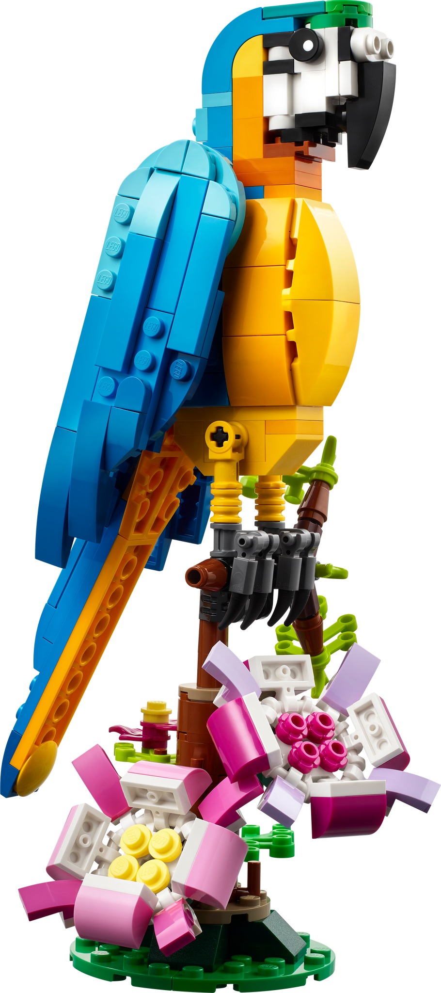 31136 Exotic Parrot* product image 3, provided for visual reference and product detail review