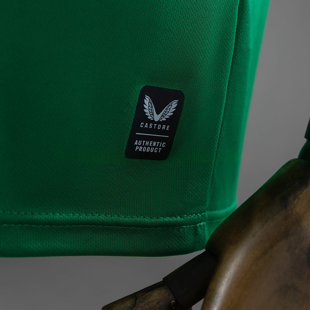 Ireland Home Jersey 2026 Football Kit Soccer Shirt product image 3