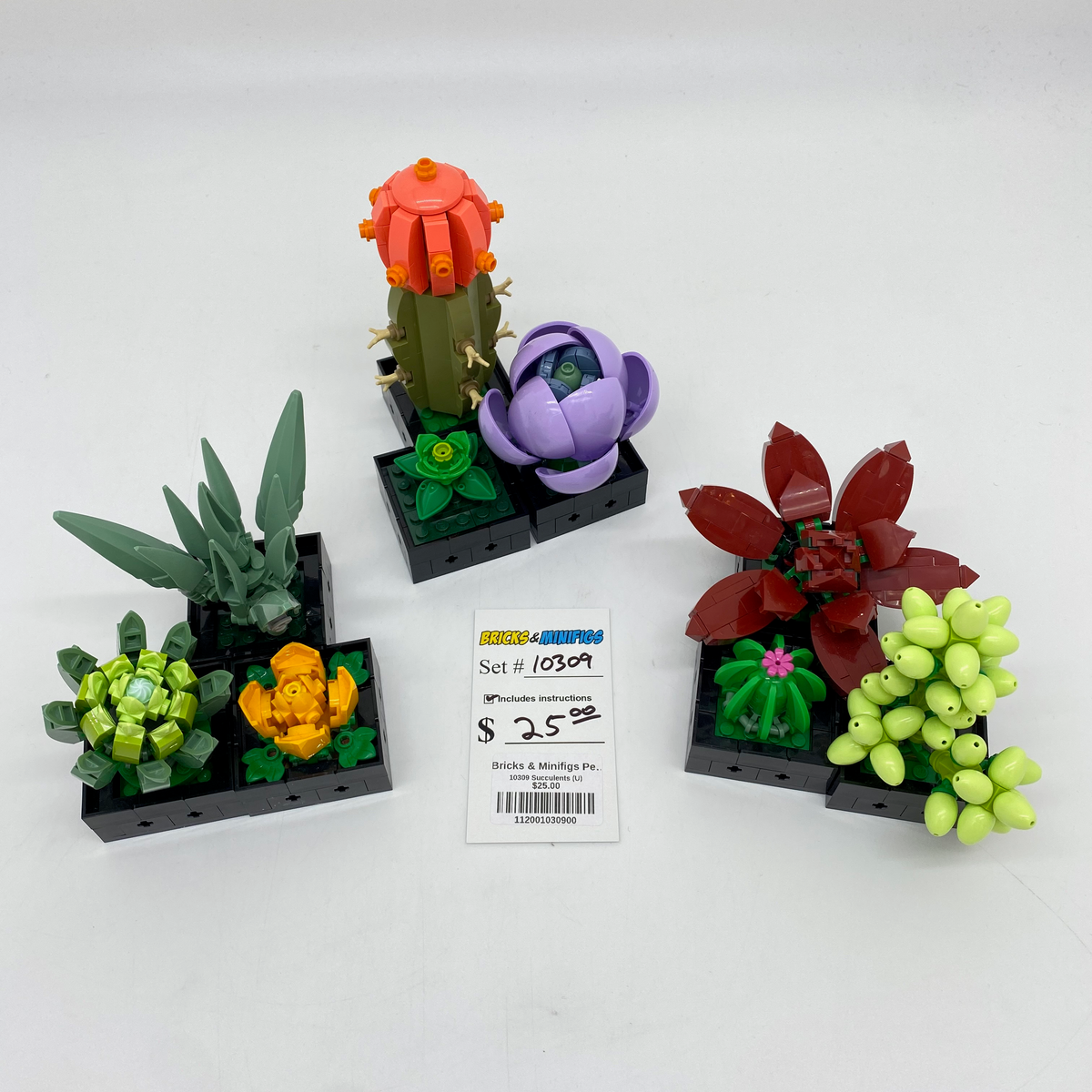 10309 Succulents (U) product image 1, provided for visual reference and product detail review