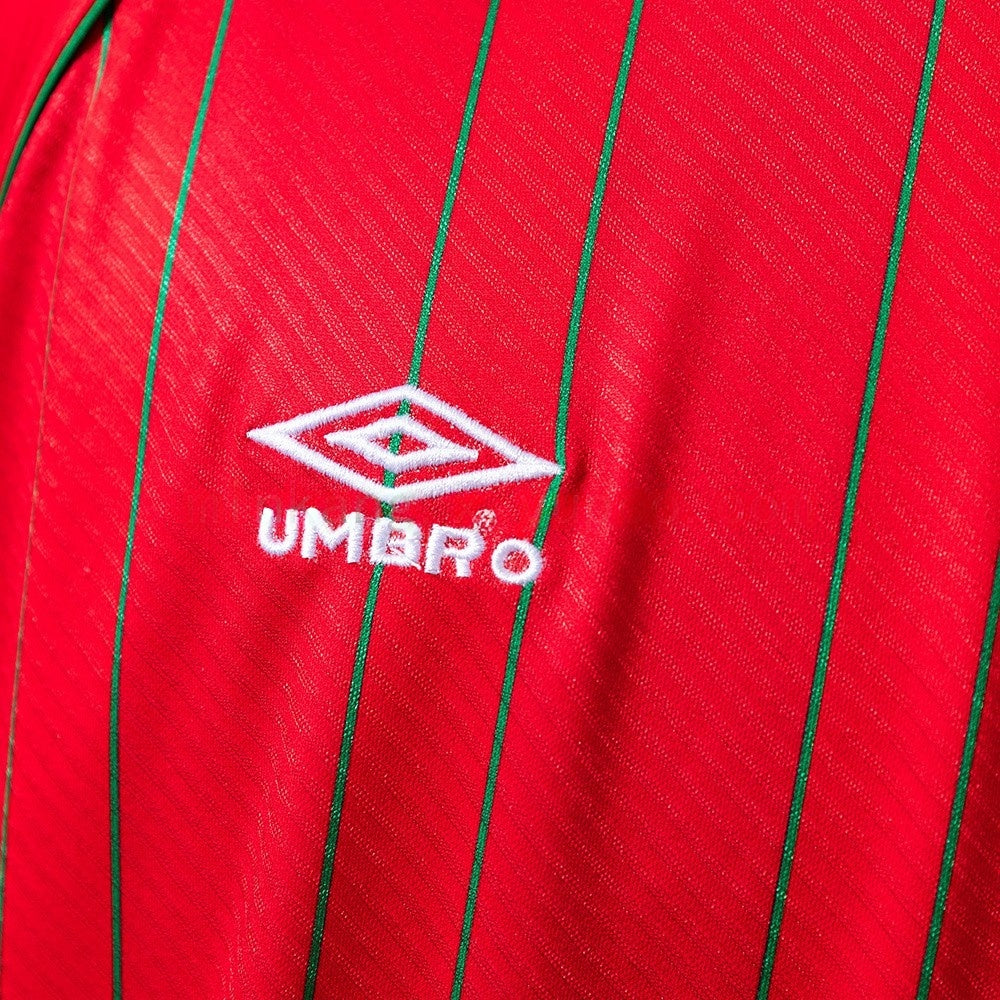 Wales Jersey 1994 Home Retro Football Kit product image 4