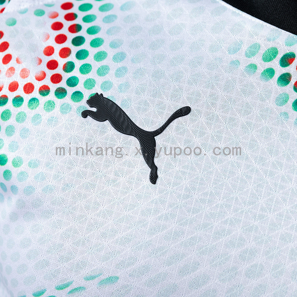 Portugal Jersey 2025/26 Away Football Kit Long Sleeves product image 5