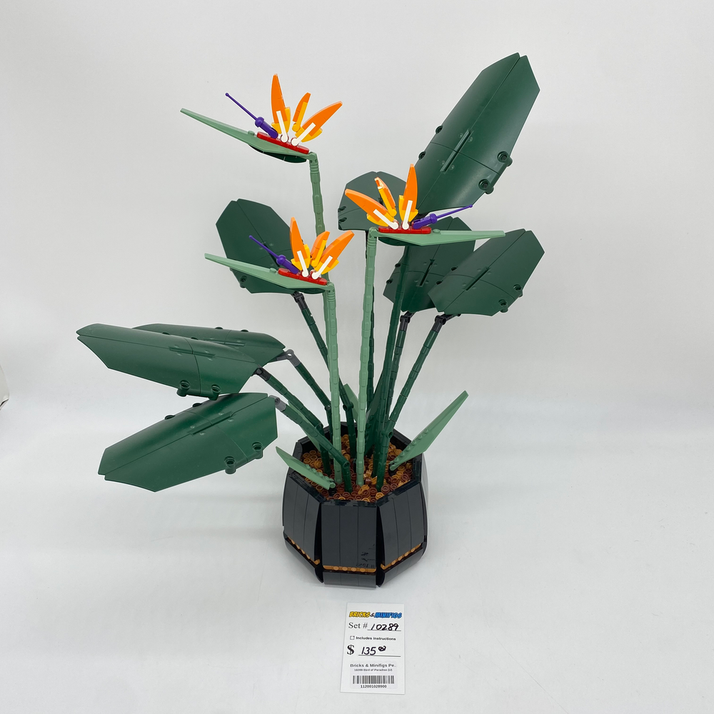 10289 Bird of Paradise (U)