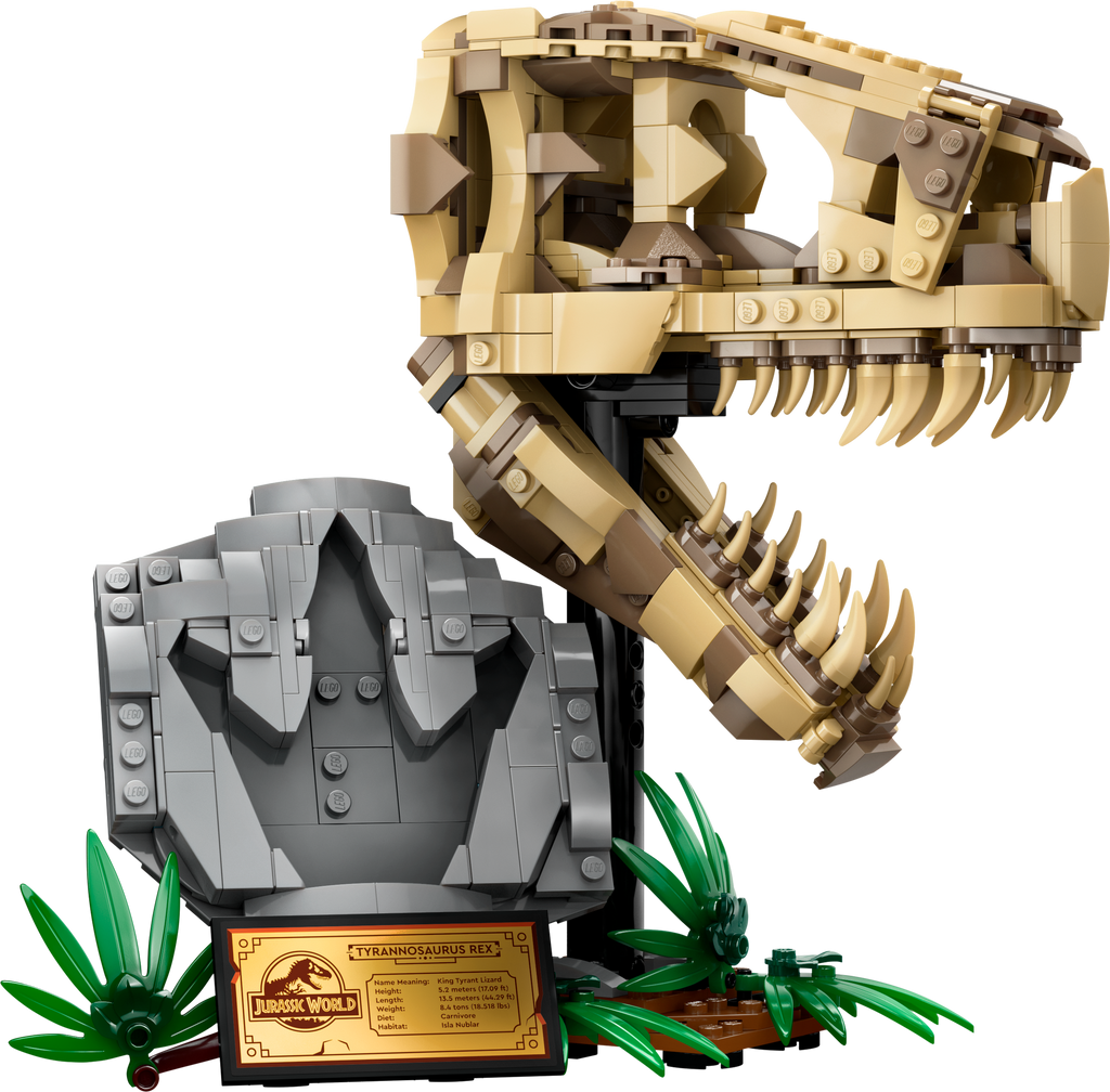 76964 Dinosaur Fossils: T. rex Skull product image 3, provided for visual reference and product detail review
