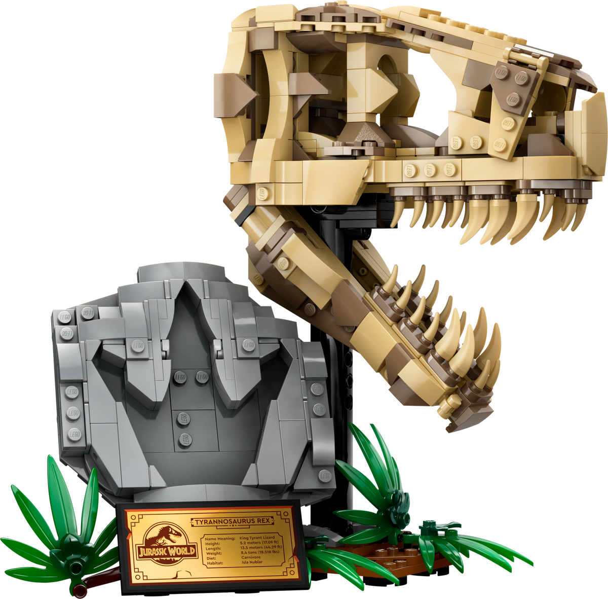 76964 Dinosaur Fossils: T. rex Skull product image 3, provided for visual reference and product detail review