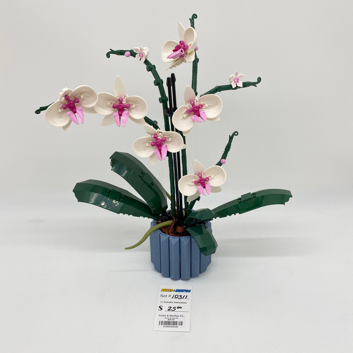 10311 Orchid (U) product image 1, provided for visual reference and product detail review