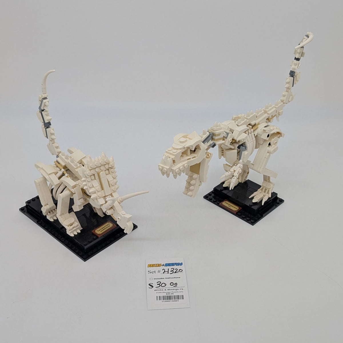 21320 Dinosaur Fossils (U1) product image 1, provided for visual reference and product detail review