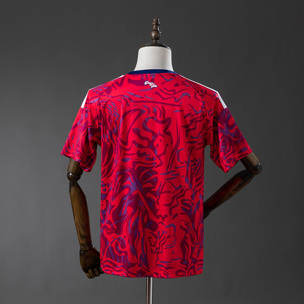 Costa Rica Jersey 2026 Home Football Kit Soccer Shirt product image 2