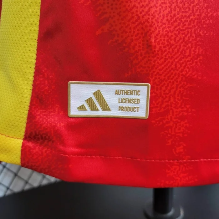 Player Spain Home Kit 24/25 Euro Cup 2024 Football Jersey product image 8