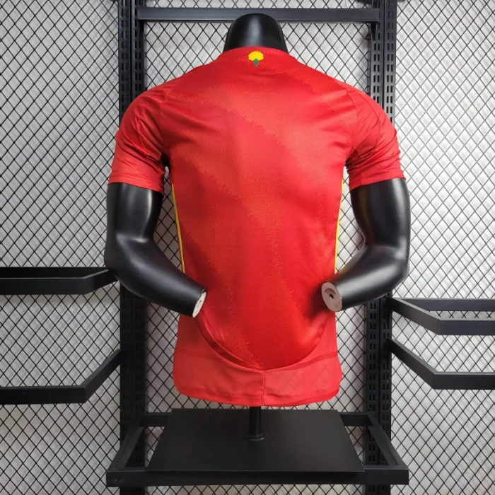 Player Spain Home Kit 24/25 Euro Cup 2024 Football Jersey product image 9